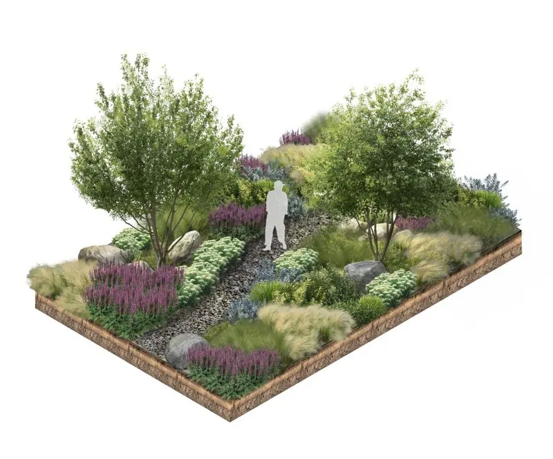 Garden with a pool